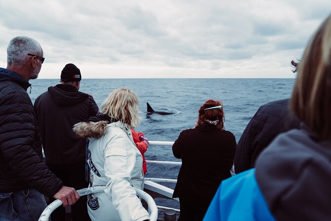 Bremer Canyon Killer Whale (Orca) Expedition - Timing in Bremer Bay: What the 7:45 am Arrival Really Means