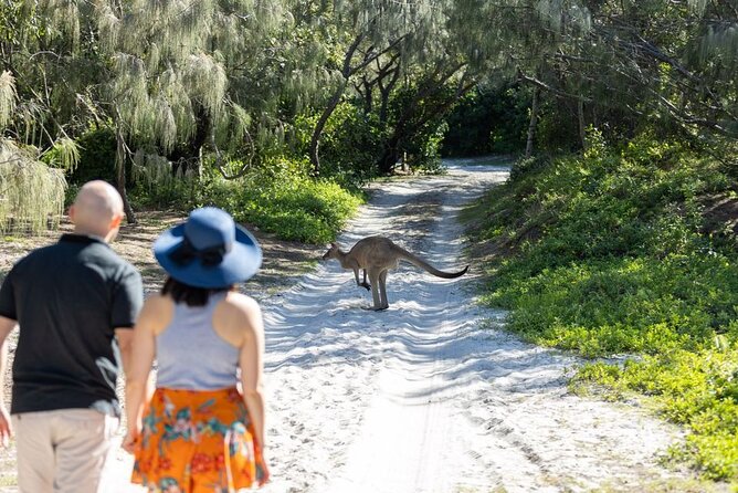 Brisbane day trip to Bribie Island - Woorim on the East Side: Beach Break and a Surf-Spot Swim