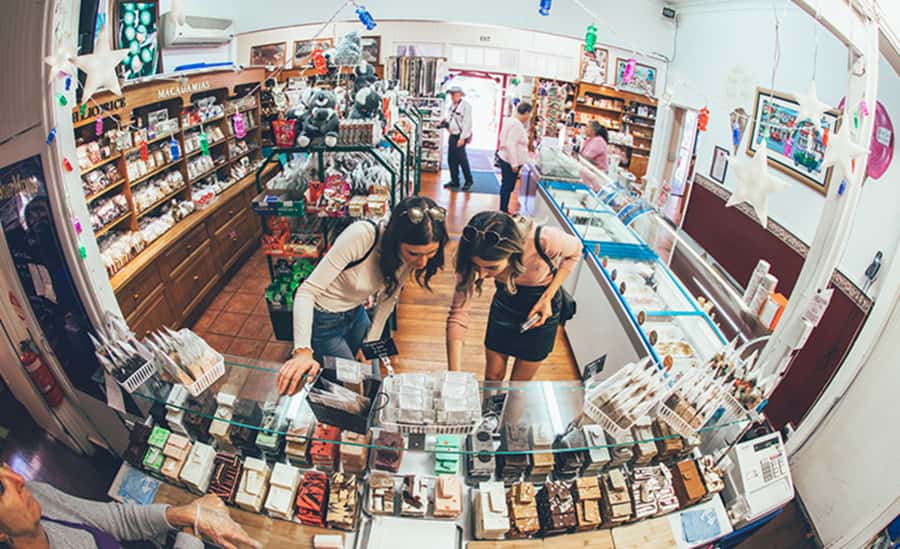 Brisbane: Daytime Glow Worm Caves Hop-on Hop-off Bus Tour - Guide style matters: small group energy and friendly, practical hosting