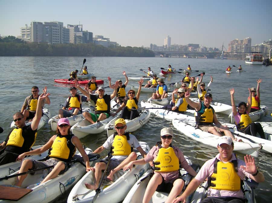 Brisbane: Guided River Kayak Tour - Price and Value: Is $46 Good Here?
