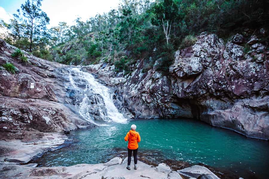 Brisbane: Hop on Hop off Bus to Tamborine Mountain - Coffee plantation and botanic gardens for a slower pace