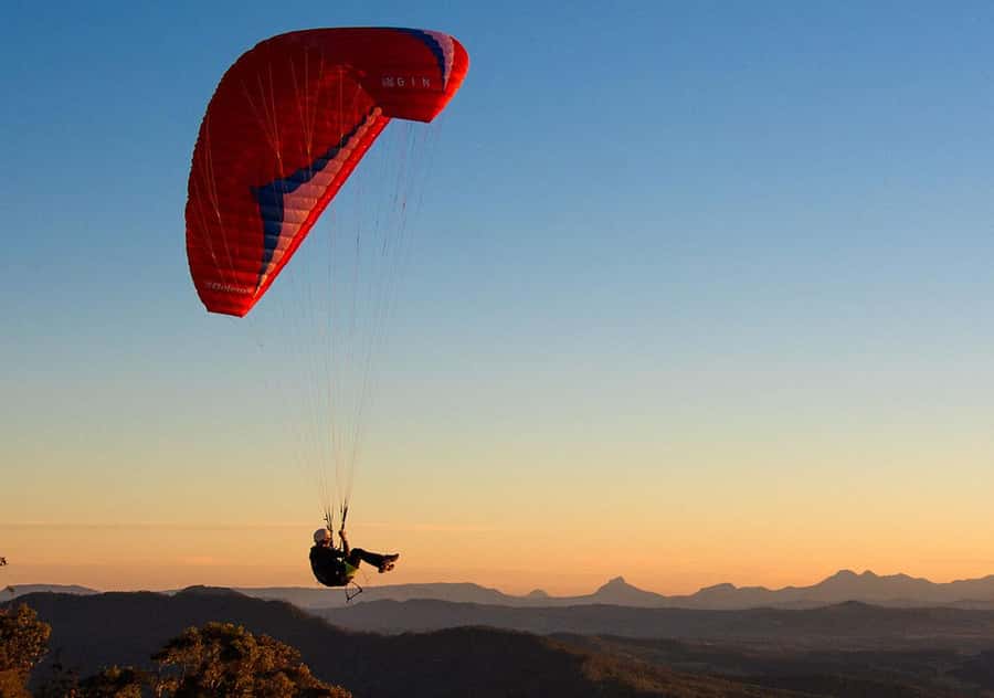 Brisbane: Hop on Hop off Bus to Tamborine Mountain - Driver guidance that helps you finish your day