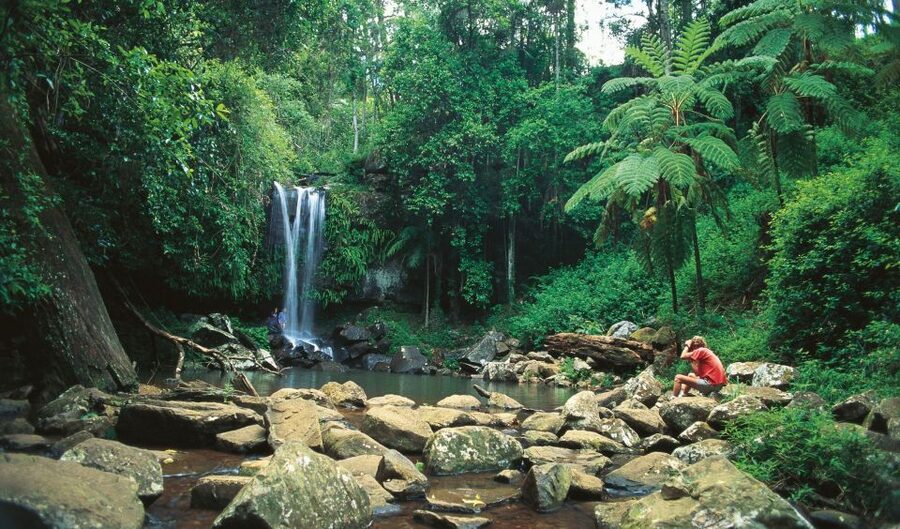 Brisbane: Hop on Hop off Bus to Tamborine Mountain - Who should book this Tamborine Mountain day pass?