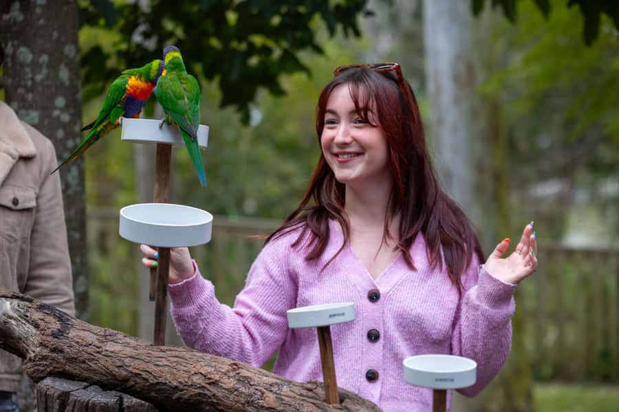 Brisbane: Lone Pine Koala Sanctuary Day Pass - Kangaroo Reserve and Hand-Feeding: The Interactive Part That People Remember