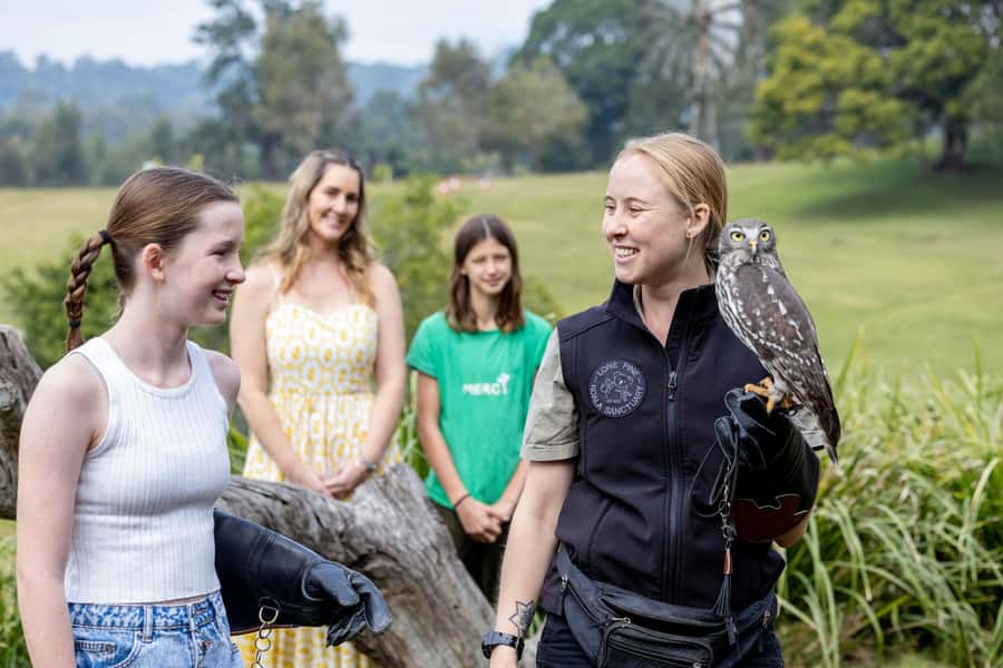Brisbane: Lone Pine Koala Sanctuary Day Pass - The Rest of the Animals: Dingoes, Wombats, Reptiles, and More