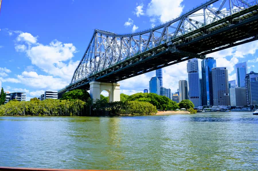 Brisbane: Morning Sightseeing Cruise: 10:30am-12pm (90min) - Key things I’d note before you go