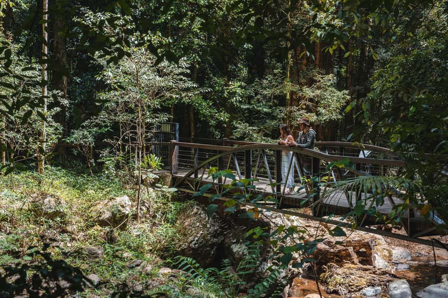 Brisbane: Rainforests, Waterfalls and Glow Worm Cave Tour - Hang Glider Lookout and the Tamborine views that make the day click