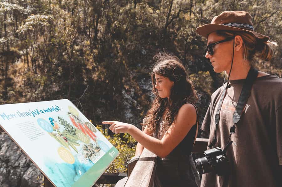Brisbane: Rainforests, Waterfalls and Glow Worm Cave Tour - Gallery Walk on Tamborine Mountain for lunch, local crafts, and a sanity break