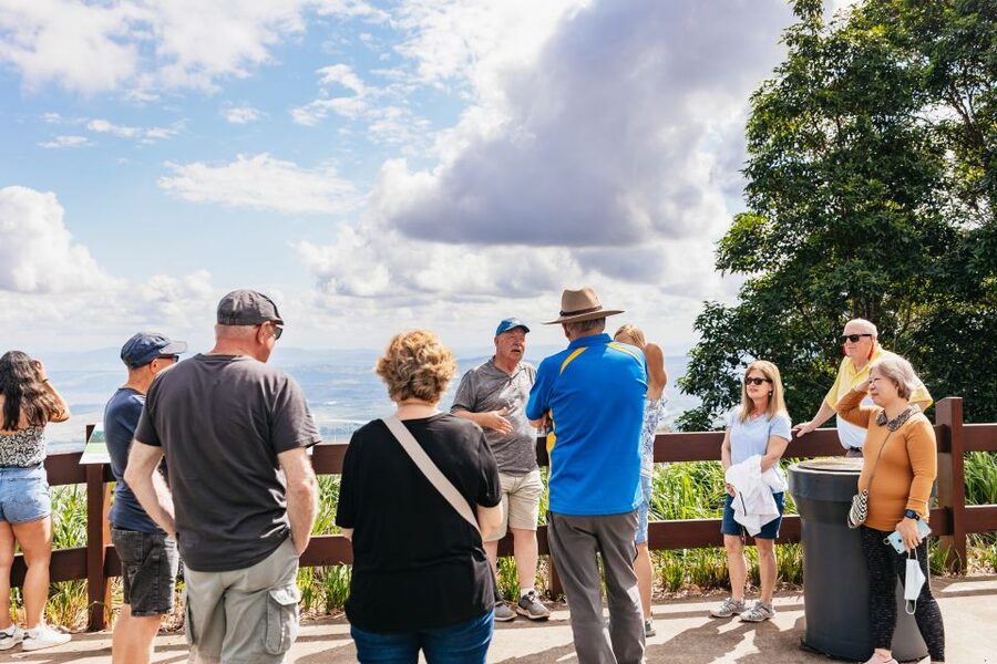 Brisbane: Rainforests, Waterfalls and Glow Worm Cave Tour - Springbrook National Park and Natural Bridge, Queensland’s geology on full display