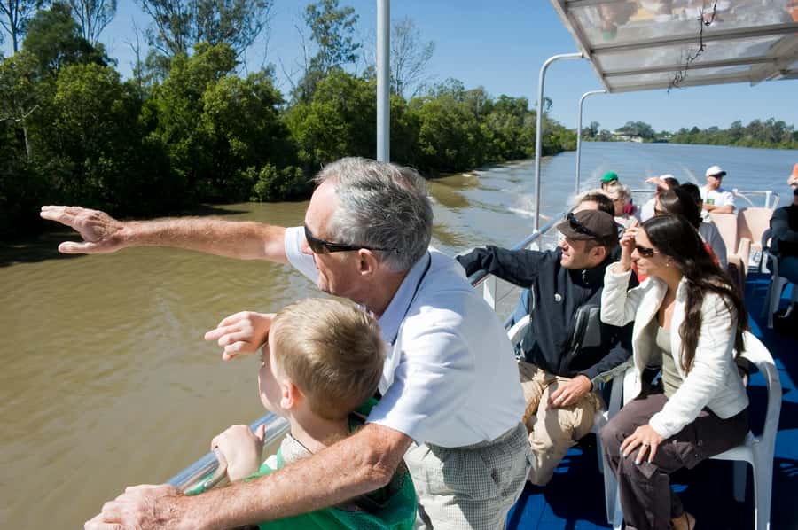 Brisbane River Cruise and Koala Sanctuary Visit - Feeding kangaroos and wallabies: the interaction that makes the day click