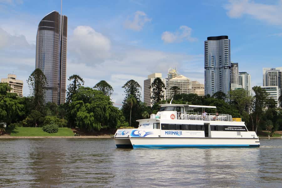 Brisbane River Cruise and Koala Sanctuary Visit - The koala photo and touch reality check (and the optional paid encounter)