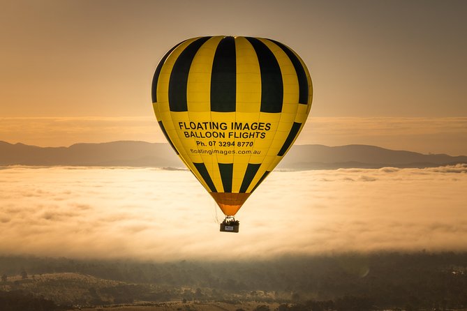 Brisbane's closest Hot Air Balloon Flights - City & Country views - 1 hr flight! - Key highlights to know before you go