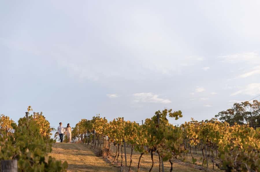 Brisbane: Sirromet Winery Tour with Tasting & 2-Course Lunch - Logistics and Planning Tips That Make the Day Smoother