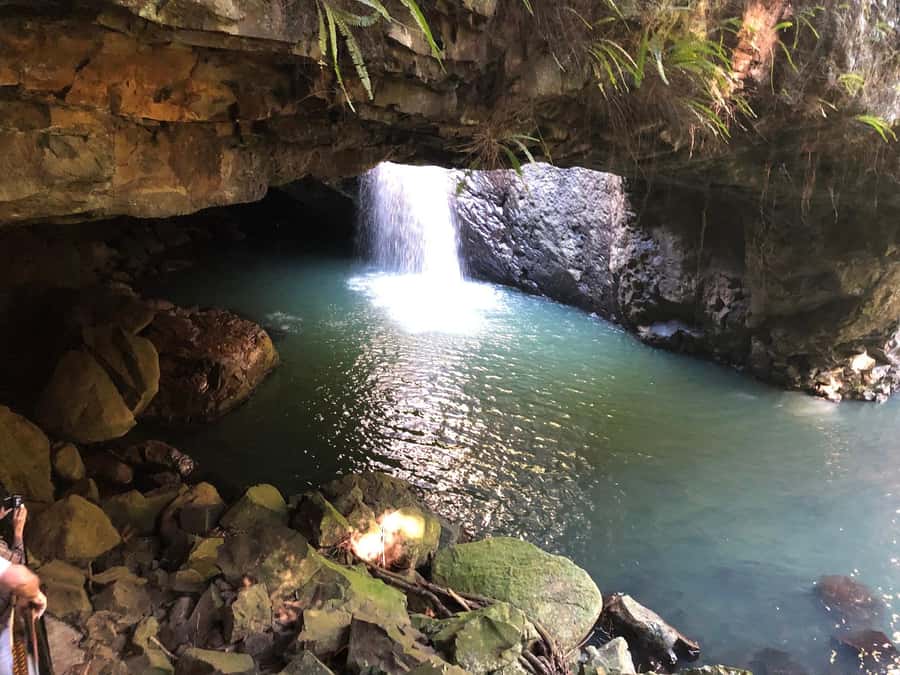 Brisbane: Springbrook and Mt Tamborine Glow Worm and Skywalk - Quick Highlights You Should Care About