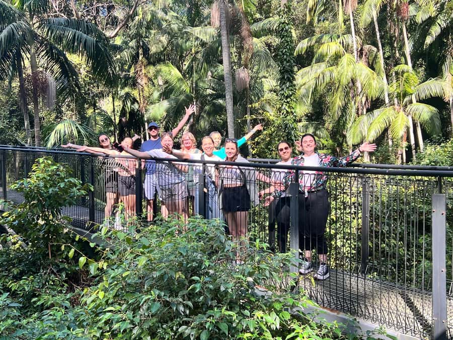 Brisbane: Springbrook and Mt Tamborine Glow Worm and Skywalk - Glow Worm Caves at Cedar Creek Estate: The Night-Light Experience