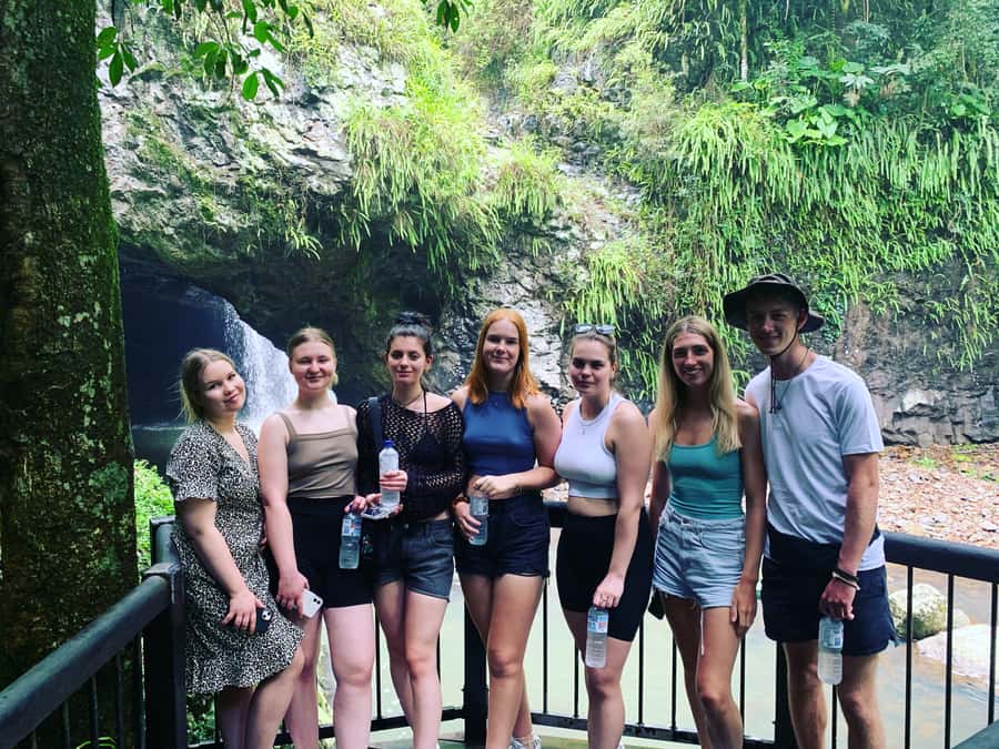 Brisbane: Springbrook and Mt Tamborine Glow Worm and Skywalk - Time, Driving, and Group Size: The Comfort Story