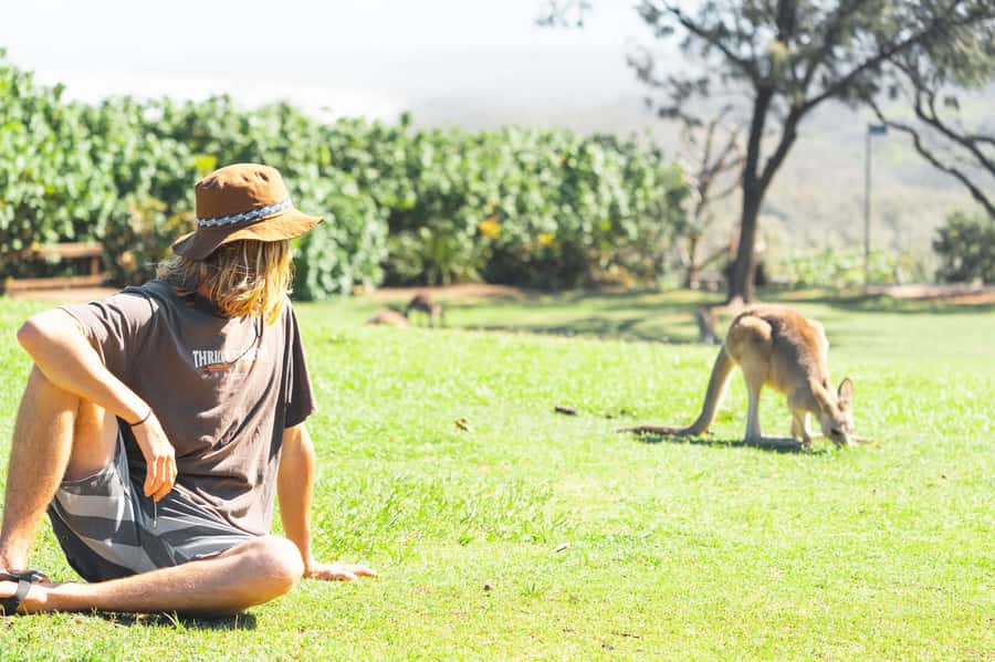 Brisbane: Stradbroke Island Eco Tour - Small Group, Full Day - The ride setup: Brisbane pick up, van time, then a 45-minute ferry