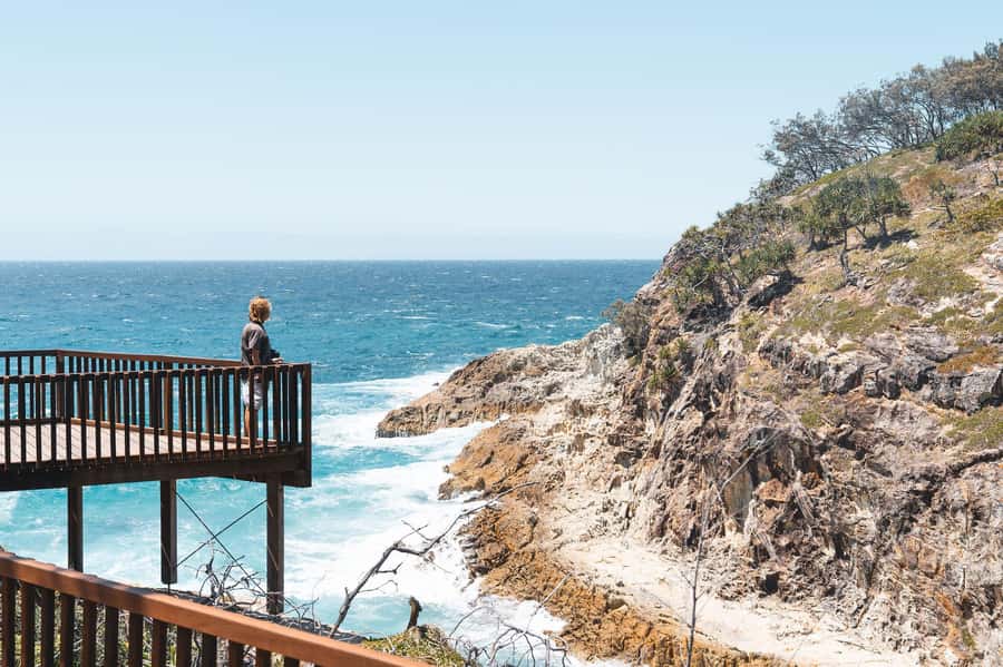 Brisbane: Stradbroke Island Eco Tour - Small Group, Full Day - Amity Point: dolphin spotting with a laid-back island start