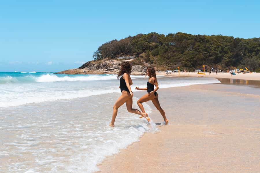 Brisbane: Stradbroke Island Eco Tour - Small Group, Full Day - Myora Springs: Indigenous stories at a freshwater stop