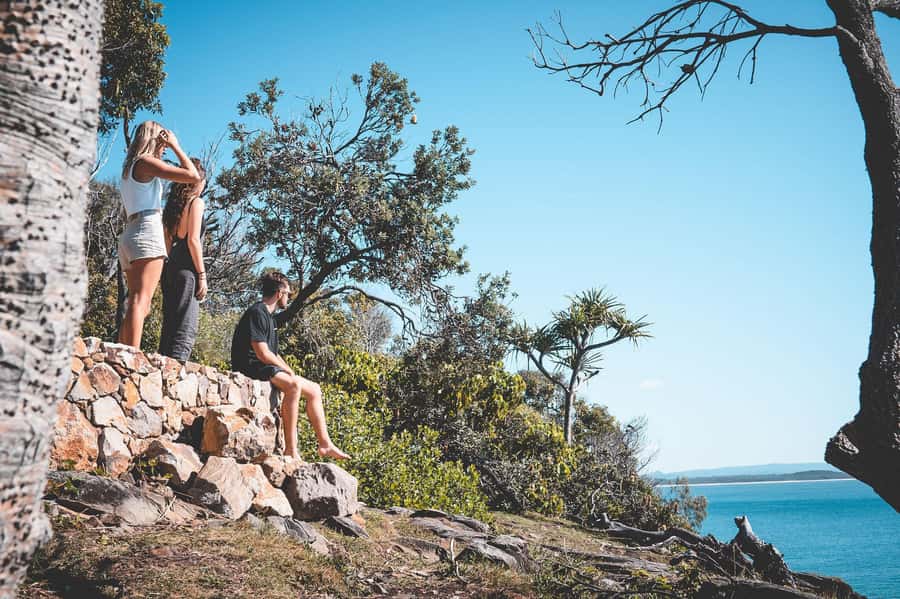Brisbane: Sunshine Coast Hinterland & Noosa Scenic Tour - Eumundi Markets (and the Friday swap): food, crafts, and live atmosphere