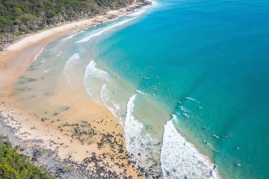 Brisbane: Sunshine Coast Hinterland & Noosa Scenic Tour - Price and value: $119 for a managed day out of Brisbane