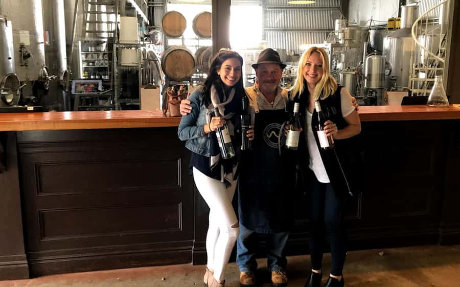 Brisbane: Tamborine Mountain Local Winery Tour with Lunch - On Mondays and Tuesdays: the St Bernards swap