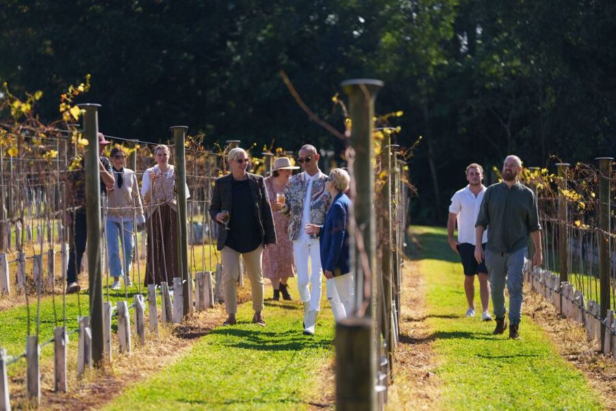 Brisbane: Tamborine Wine & Distillery Tour - Scenic lookout stop and Gallery Walk free time to reset