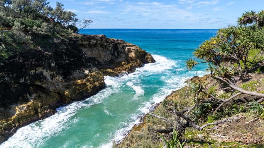 Brisbane to North Stradbroke Island Day: Wildlife & Beaches - North Gorge Walk and Point Lookout: the best shot at whales, plus animals on land