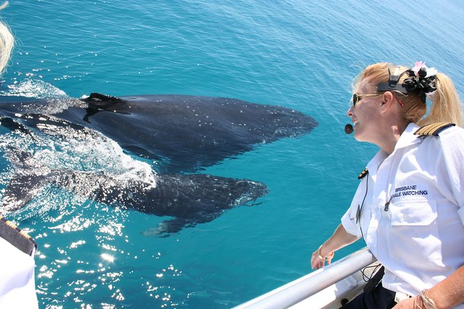 Brisbane Whale Watching Cruise from Redcliffe or Sunshine Coast - Key things I’d bet you’ll care about