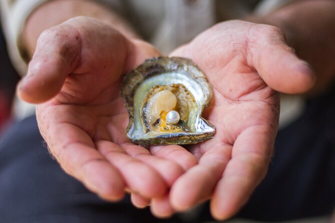 Broken Bay Pearl & Oyster Farm Tours - Nature, the family feel, and what the guides add