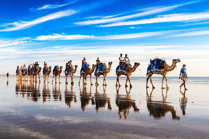 Broome Pre-sunset Camel Tour 30 minutes - Getting on and off with fewer headaches: tied camels and small-group attention