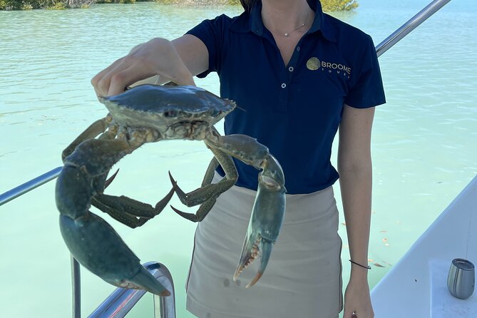 Broome's only Crabbing Adventure & Wildlife Cruise - Wildlife spotting in Roebuck Bay: what you might actually see