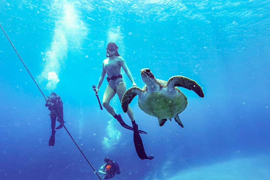 Brunswick Heads: Snorkelling in Byron Bay - Safety reality check: swim ability, medical limits, and seasickness