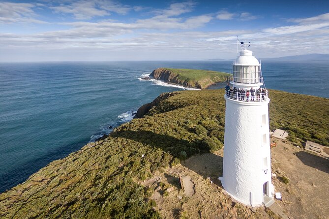 Bruny Island Food, Sightseeing, Guided Lighthouse Tour & Lunch - Why Bruny Island Food and Lighthouse Works So Well for a Day Trip