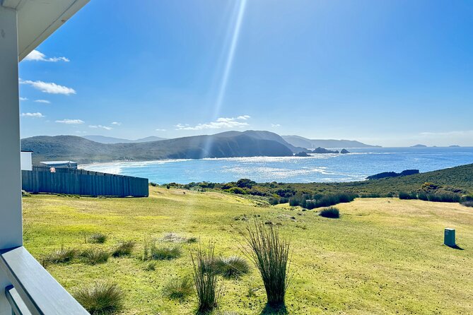 Bruny Island Food, Sightseeing, Guided Lighthouse Tour & Lunch - Mount Mangana Trail and Rainforest Time: What You Gain from the Nature Stops