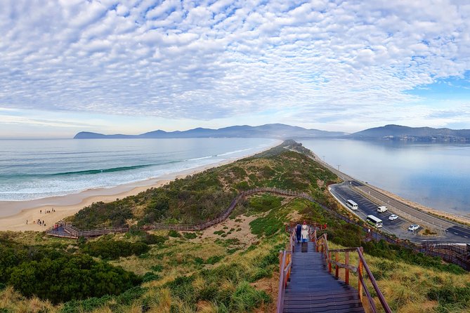 Bruny Island Food, Sightseeing, Guided Lighthouse Tour & Lunch - Afternoon Tastings: Get Shucked, Chocolate, Honey, and Cheese Production Stops