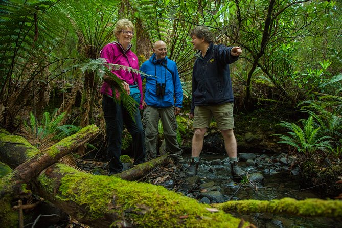 Bruny Island Traveller - Gourmet Tasting and Sightseeing Day Trip from Hobart - From Hobart to Bruny, with a plan that actually works