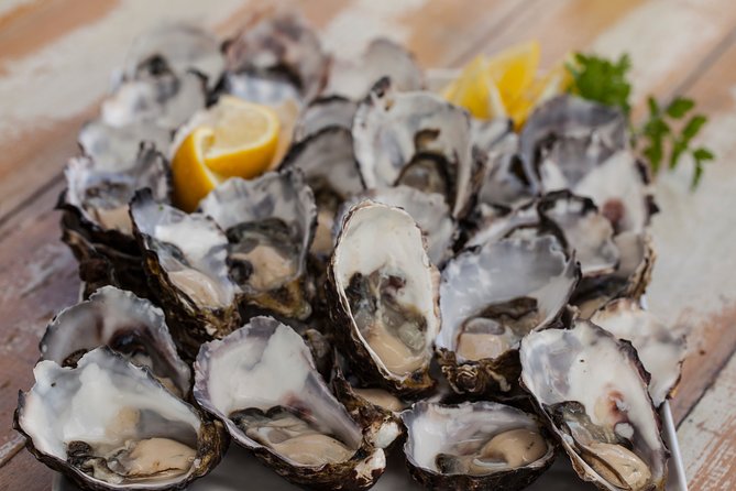 Bruny Island Traveller - Gourmet Tasting and Sightseeing Day Trip from Hobart - Timing, comfort, and what to pack for a windy, step-heavy island day