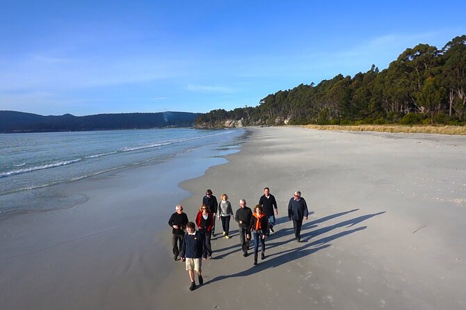 Bruny Island Traveller - Gourmet Tasting and Sightseeing Day Trip from Hobart - Pickup, group size, and what “small group” feels like in practice