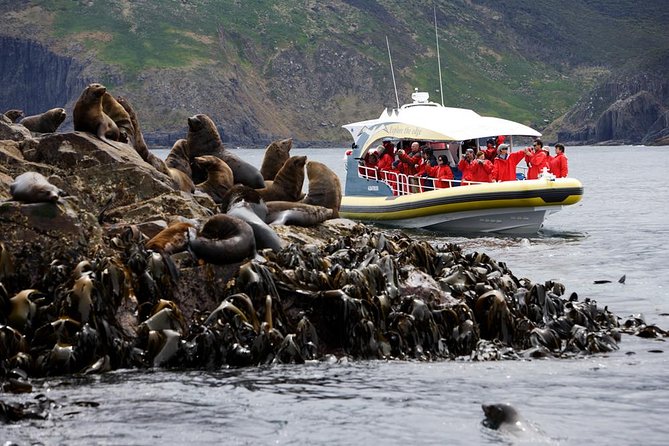 Bruny Island Wilderness Cruise from Adventure Bay, Bruny Island - Key Things I’d Prioritize on This Cruise