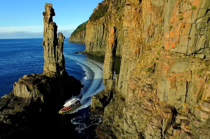 Bruny Island Wilderness Cruise from Adventure Bay, Bruny Island - Bruny Island Wilderness Cruise From Adventure Bay: Why This One Works