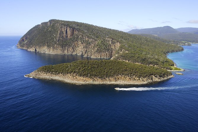 Bruny Island Wilderness Cruise from Adventure Bay, Bruny Island - What the Eco-Cruiser Feels Like: Covered Open-Air, Real Sea Spray