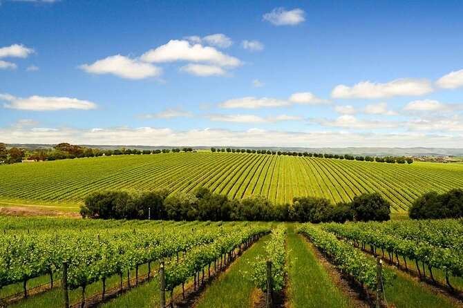Build your own Unique Private Winery/Brewery Tour at the Margaret River region - Key highlights you will feel on the day