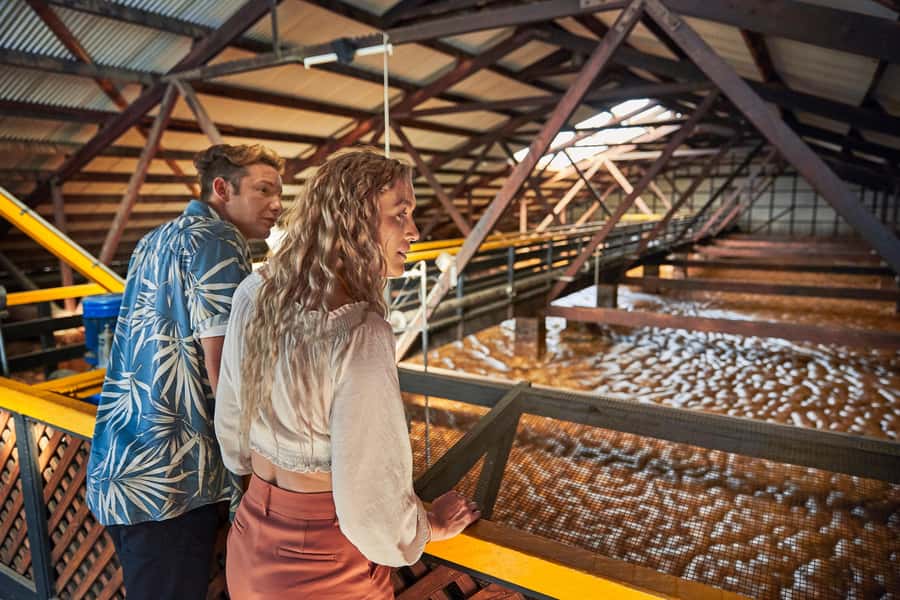 Bundaberg; Bundaberg Rum Distillery Tour and Tasting - Molasses Well: The Shockingly Big Beginning
