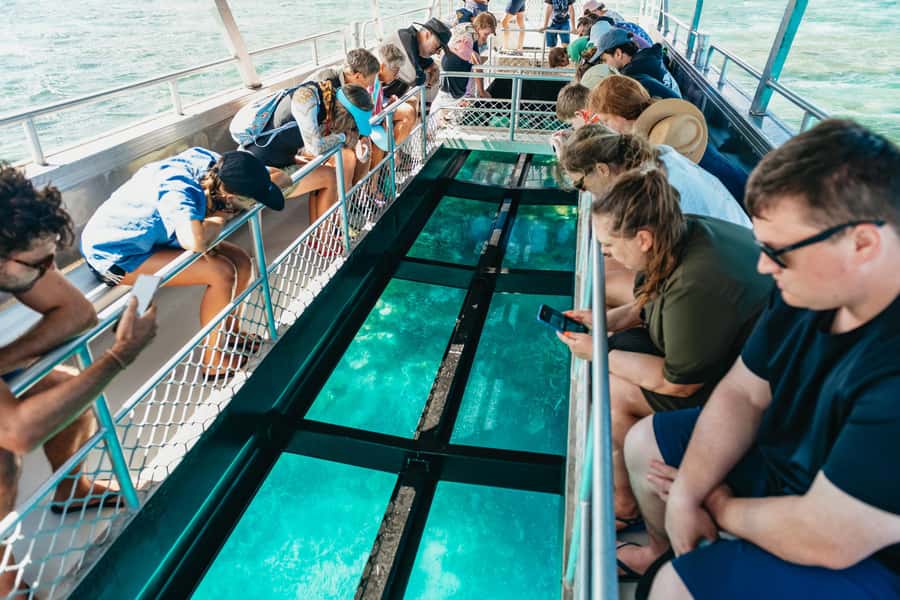 Bundaberg: Lady Musgrave Island and Great Barrier Reef Tour - A 10-hour Southern Reef Escape From Bundaberg Port Marina