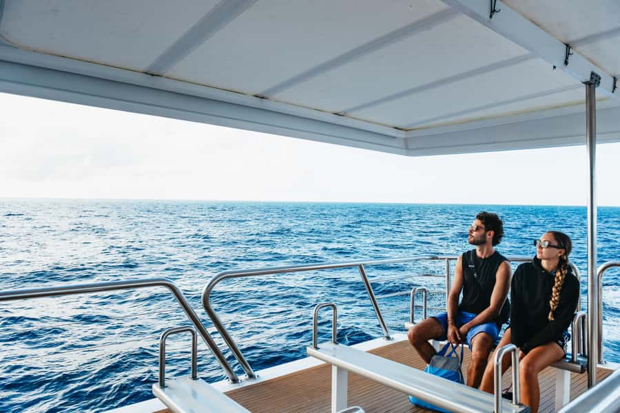 Bundaberg: Lady Musgrave Island and Great Barrier Reef Tour - Glass-Bottom Boat and Underwater Observatory for Every Comfort Level