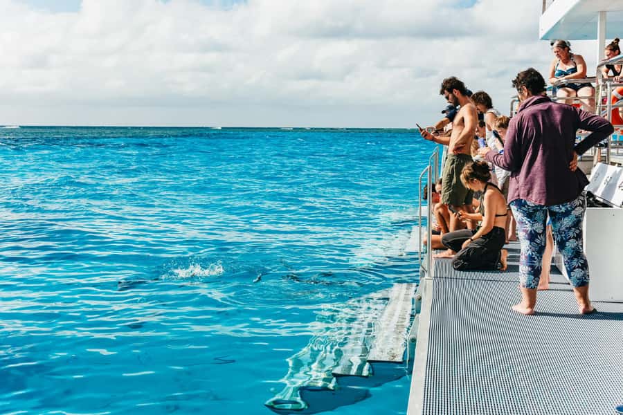 Bundaberg: Lady Musgrave Island and Great Barrier Reef Tour - FAQ