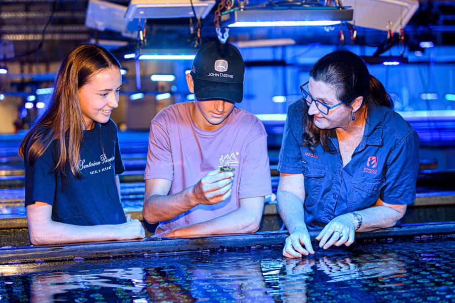 Bundaberg: Monsoon Aquatics Coral Farm Guided Tour - Key things to know before you go