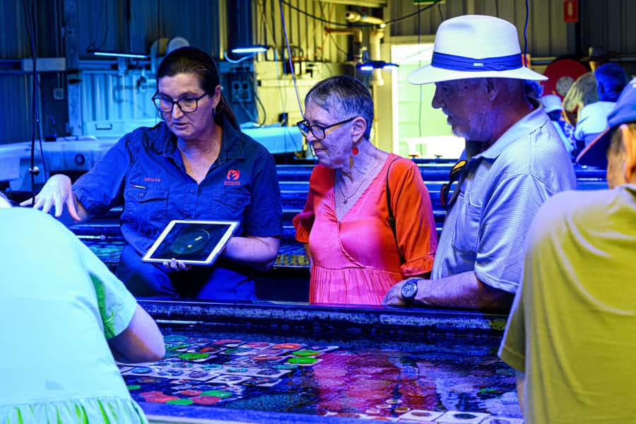 Bundaberg: Monsoon Aquatics Coral Farm Guided Tour - FAQ