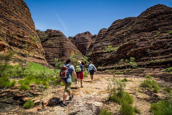 Bungle Bungle Scenic Flights, Domes & Cathedral Gorge Walk - A full-day Purnululu combo, without the rental car headache